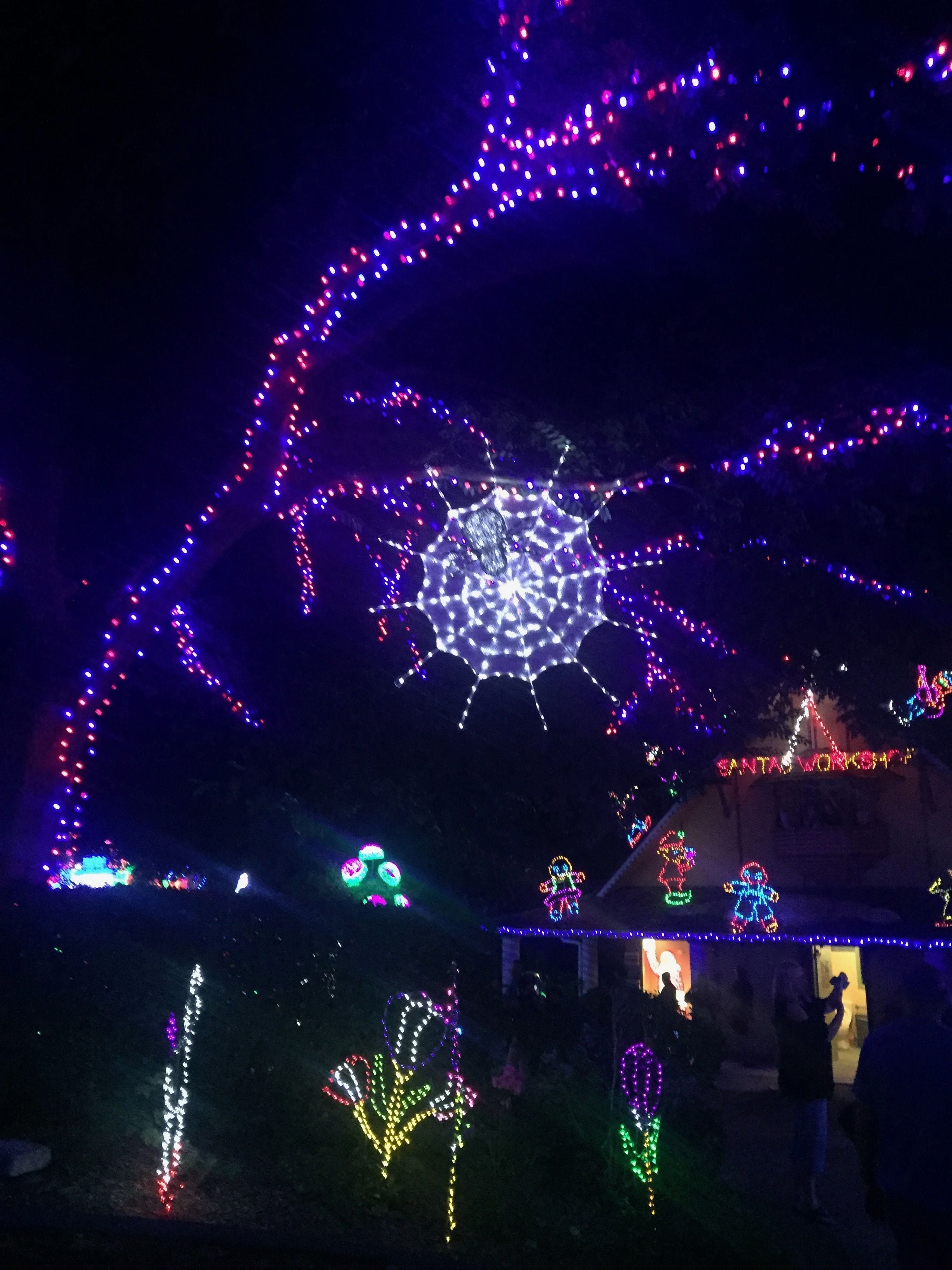 Hunter Valley Christmas Lights Spectacular Image -5b3abbc691258